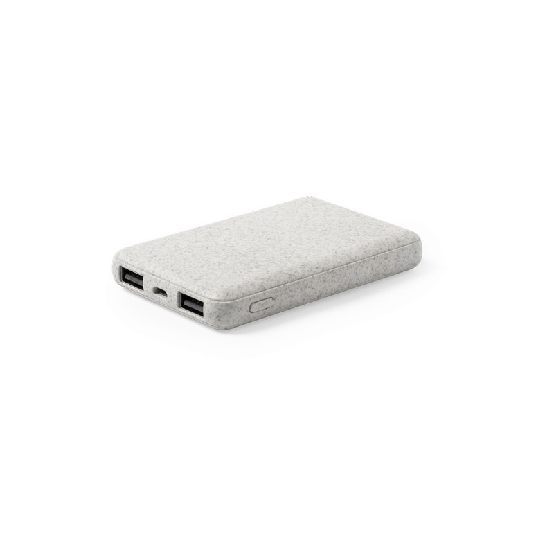 Power Bank Éco-responsable Personnalisé 5000 mAh Pas Cher - Shiden Matières : ABS Couleurs : naturel livraison express 24h 48h