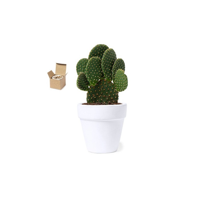 Pot de Fleurs Konte - Écologique et Pratique