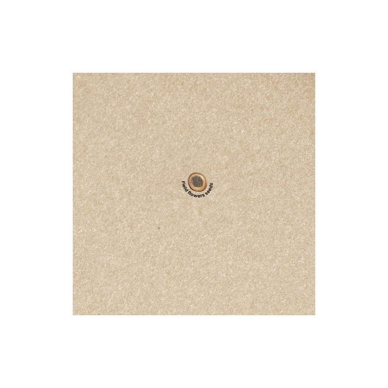 Bloc Notes Éco-responsable Ensemencé Personnalisé - Cadeau Baupres Matières : carton marquage laser ultra précis