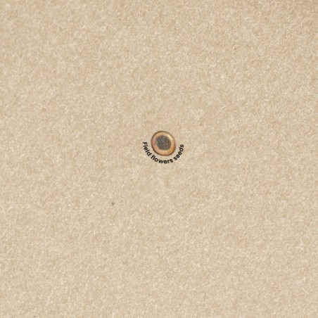 Bloc Notes Ensemencé Baupres - Écologique et Pratique