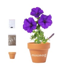 Pot de Fleurs Éco-responsable Personnalisé pas cher - Soltax Matières : terre cuite