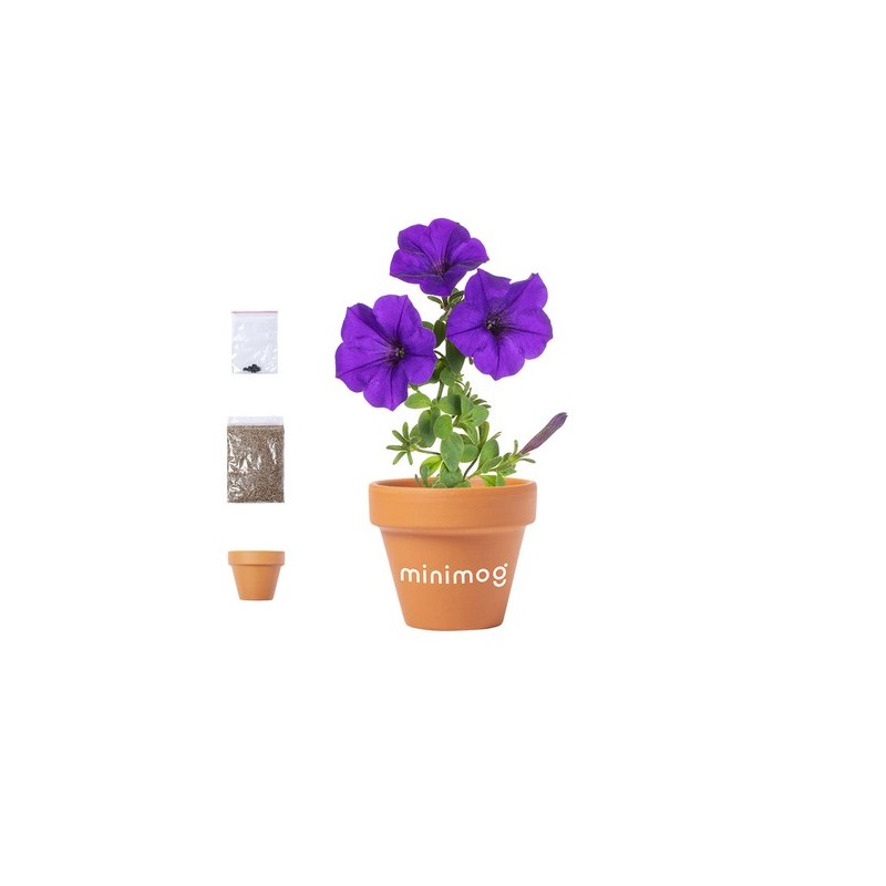 Pot de Fleurs Éco-responsable Personnalisé pas cher - Soltax Matières : terre cuite