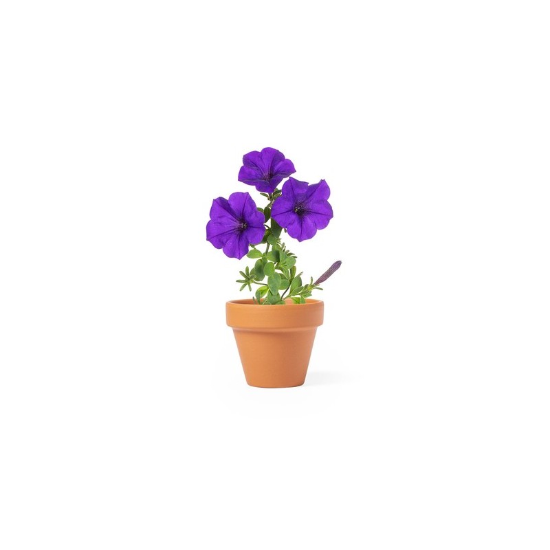 Pot de Fleurs Éco-responsable Personnalisé pas cher - Soltax Matières : terre cuite cadeau entreprise pas cher