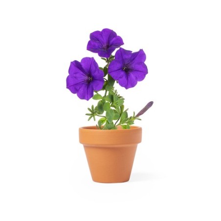 Pot de Fleurs Éco-responsable Personnalisé pas cher - Soltax Matières : terre cuite cadeau entreprise pas cher