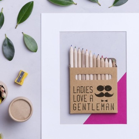 Boîte Crayons Boys - Ensemble de 12 Crayons Colorés