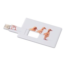 Clé USB personnalisable Crédit Card 16GB Matières : ABS Couleurs : blanc