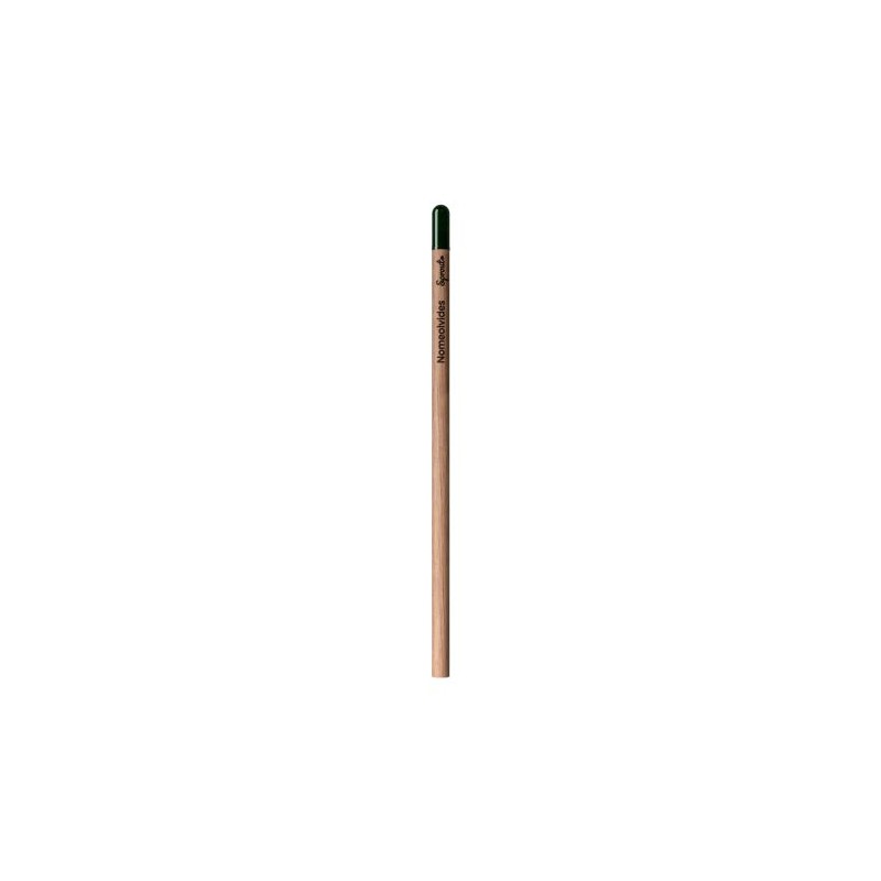 Crayon Éco-responsable et Personnalisé - Sprout™ Matières : bois cadeau client original