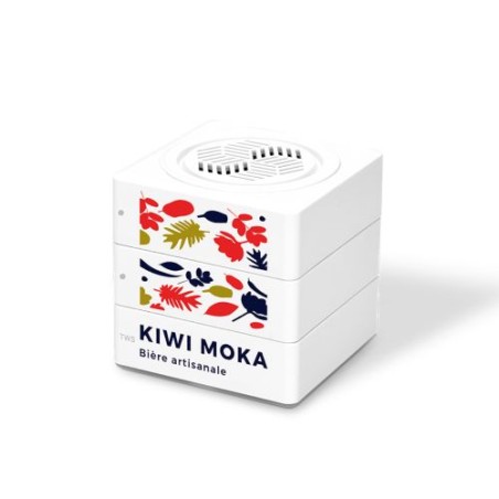 Enceinte Cube Haut-Parleur BT5.0 Sans Fil