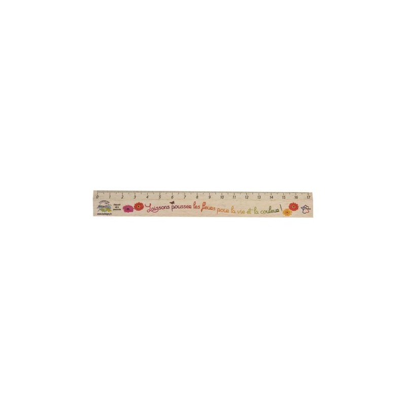 Règle Éco-responsable 17 cm - REGLE ECO cadeau entreprise pas cher