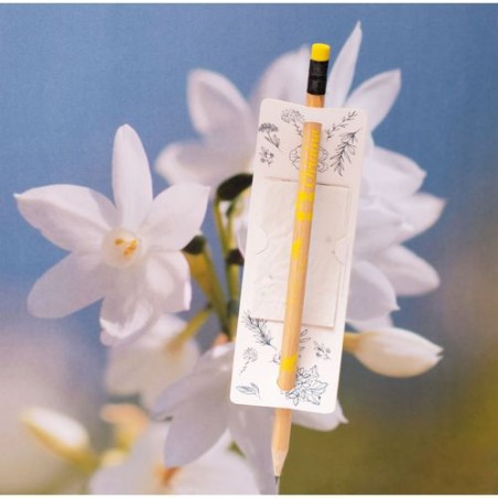 Messager Graines - Étiquette Publicitaire Écologique