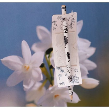 Messager Graines - Étiquette Publicitaire Écologique