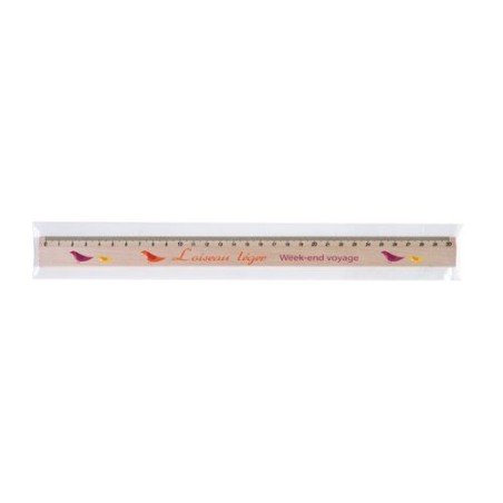 Règle Éco-responsable 30 cm en Sachet Polypro - Quadri Personnalisé cadeau entreprise pas cher
