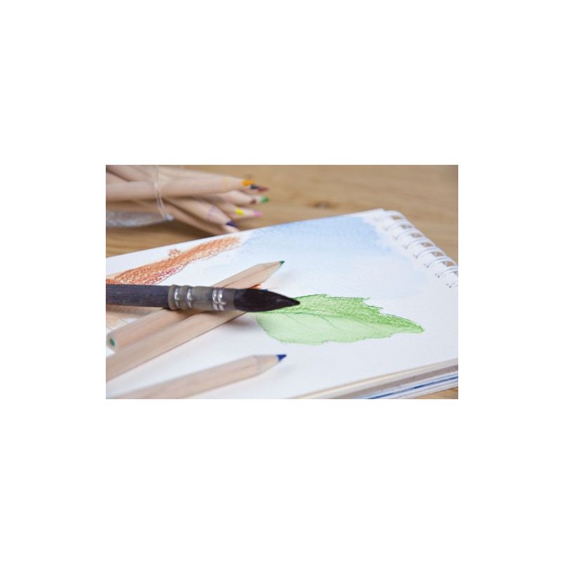 Étui Éco-responsable 6 Crayons Aquarellables - Objets Publicitaires personnalisable avec votre logo