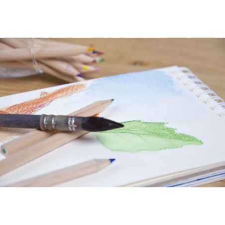 Étui Éco-responsable 6 Crayons Aquarellables - Objets Publicitaires impression haute définition