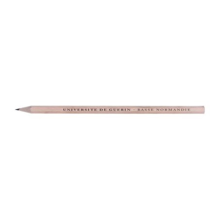 Crayon  HEXA 17 SANS VERN T Coupé - personnalisable marquage couleur éclatante