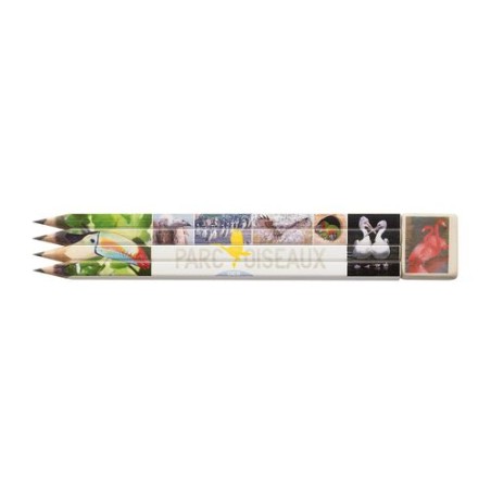 Set d'Écriture Personnalisé Éco-responsable - Objets Publicitaires personnalisation sur mesure