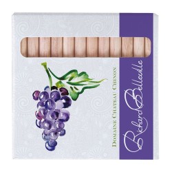 Étui Éco-responsable de 12 Crayons Aquarellables - Cadeau d'Entreprise