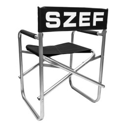 Fauteuil Metteur en Scène Alu - Confort et Style 2