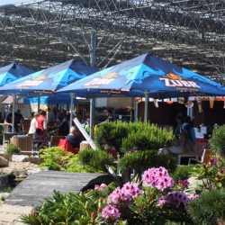 Parasol carré 3,5x3,5m publicitaire 2