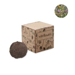 Boule Éco-responsable de Graines de Fleurs Sauvages - BOMBI Couleurs : beige