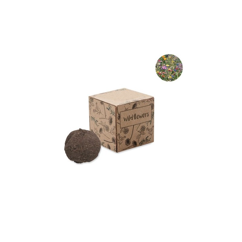 Boule Éco-responsable de Graines de Fleurs Sauvages - BOMBI Couleurs : beige