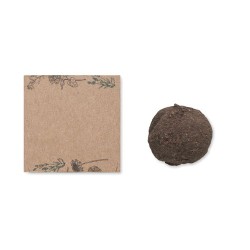 Boule Éco-responsable de Graines de Fleurs Sauvages - BOMBI Couleurs : beige 2