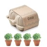 Kit de culture  et pratique personnalisé de cresson Couleurs : beige Matières : terre cuite