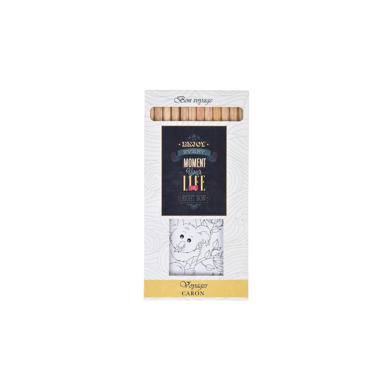Kit Éco-responsable de Coloriage avec 12 Crayons - Objets Publicitaires 8,7 goodies personnalisé en stock