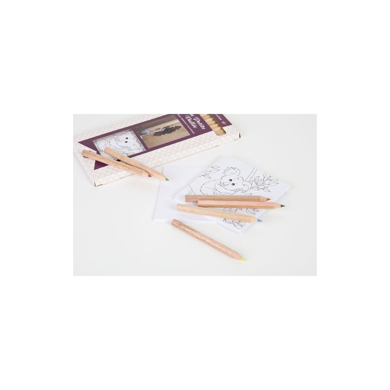 Kit Éco-responsable de Coloriage avec 12 Crayons - Objets Publicitaires 8,7 goodies publicitaire événementiel