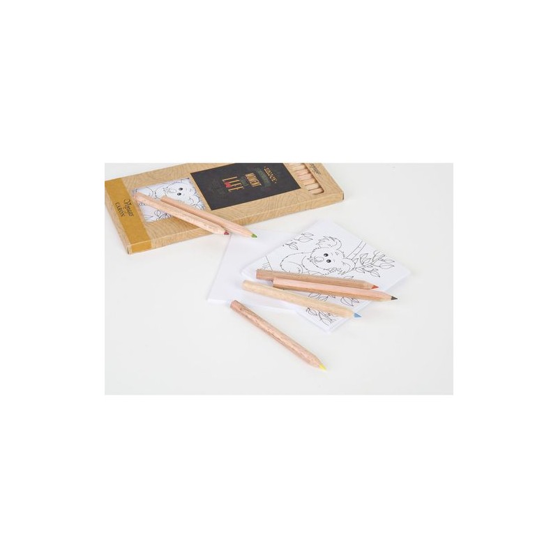 Kit Éco-responsable de Coloriage avec 12 Crayons - Objets Publicitaires 8,7 impression haute définition