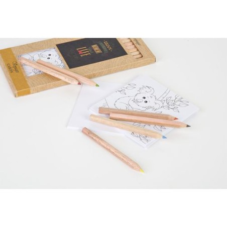 Kit Éco-responsable de Coloriage avec 12 Crayons - Objets Publicitaires 8,7 impression haute définition