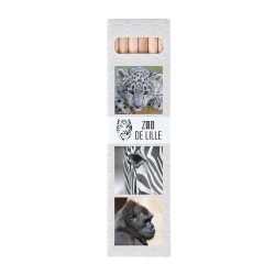 Étui Éco-responsable 6 Crayons Aquarellables 17,6 - Cadeau Publicitaire Original