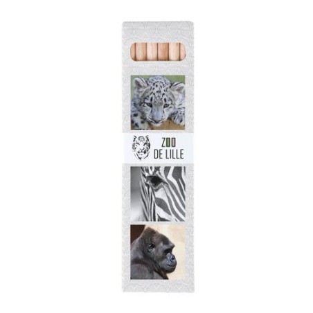 Étui Éco-responsable 6 Crayons Aquarellables 17,6 - Cadeau Publicitaire Original