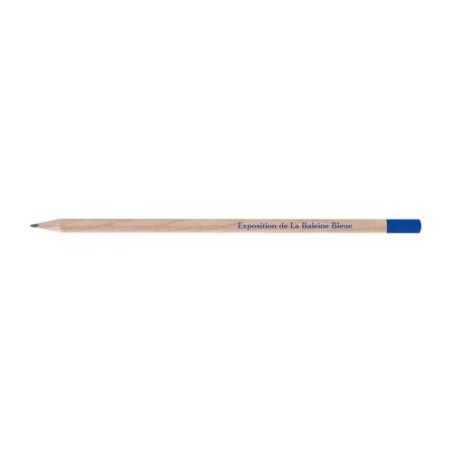 Crayon Coeur Personnalisé Élégant 17,6 cm - Prestige marquage couleur éclatante