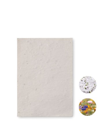 Papier A6 Écologique Personnalisé aux Graines de Fleurs - ASIDO