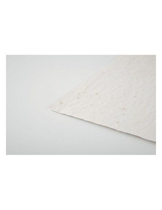 Papier A6 Graines de Fleurs ASIDO - Écologique & Unique