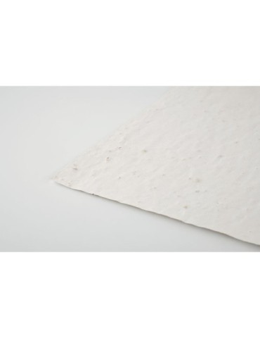 Papier A4 Éco-responsable et Personnalisé aux Graines de Fleurs - ASIDI Matières : papier recyclé Couleurs : blanc impression ha