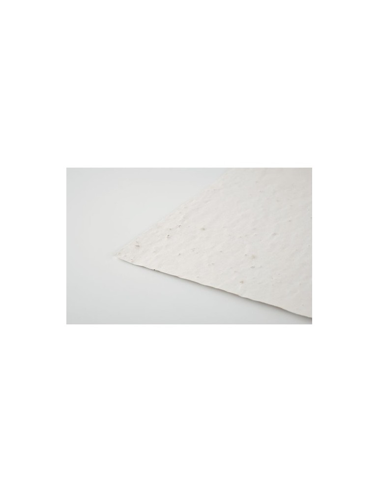 Papier A4 Graines de Fleurs ASIDI - Écologique et Pratique