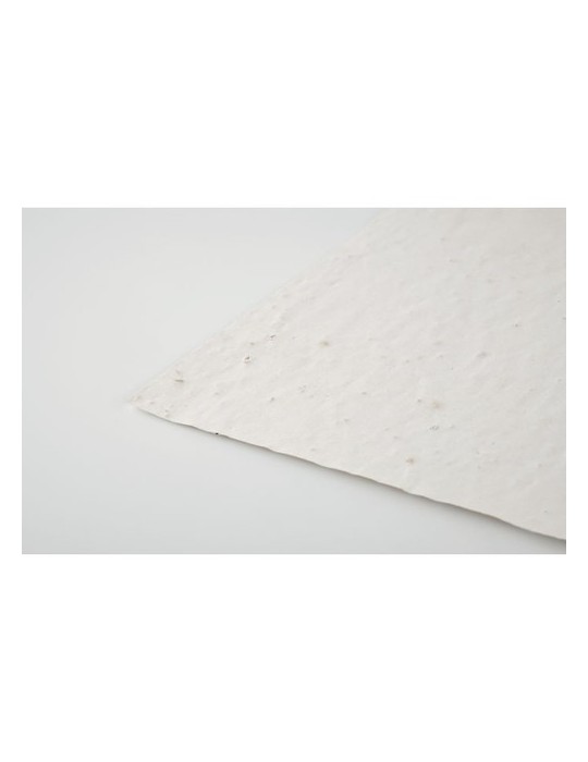 Papier A4 Graines de Fleurs ASIDI - Écologique et Pratique