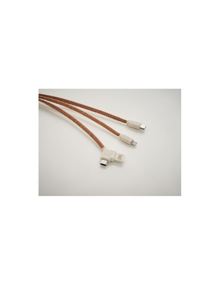 Câble de Chargement en Liège CABIE : Écologique et Pratique