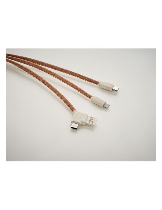 Câble de Chargement en Liège CABIE : Écologique et Pratique