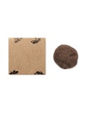 Kit de culture personnalisé d'herbes aromatiques pas cher - BOMBI III Matières : papier Couleurs : beige goodies publicitaire év