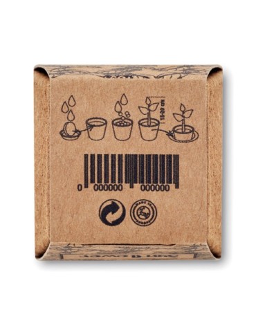 Kit de tournesol SUNFLOWER KIT 2