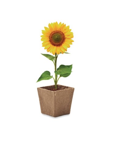 Kit de tournesol personnalisé  SUNFLOWER KIT Matières : papier Couleurs : beige objet promotionnel éco-responsable