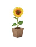 Kit de tournesol personnalisé  SUNFLOWER KIT Matières : papier Couleurs : beige objet promotionnel éco-responsable