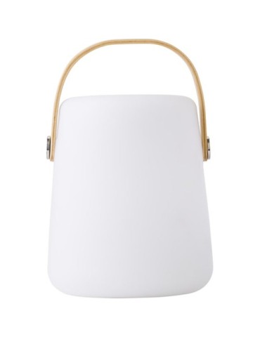 Enceinte double sans fil lumineuse