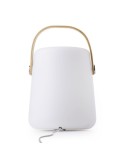 Enceinte double sans fil lumineuse
