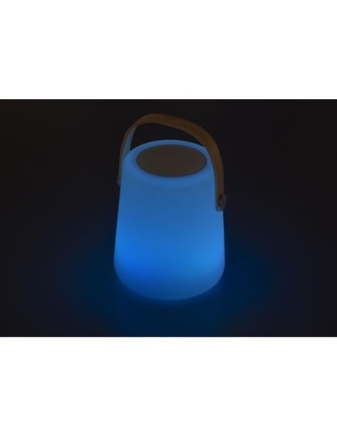 Enceinte double sans fil lumineuse
