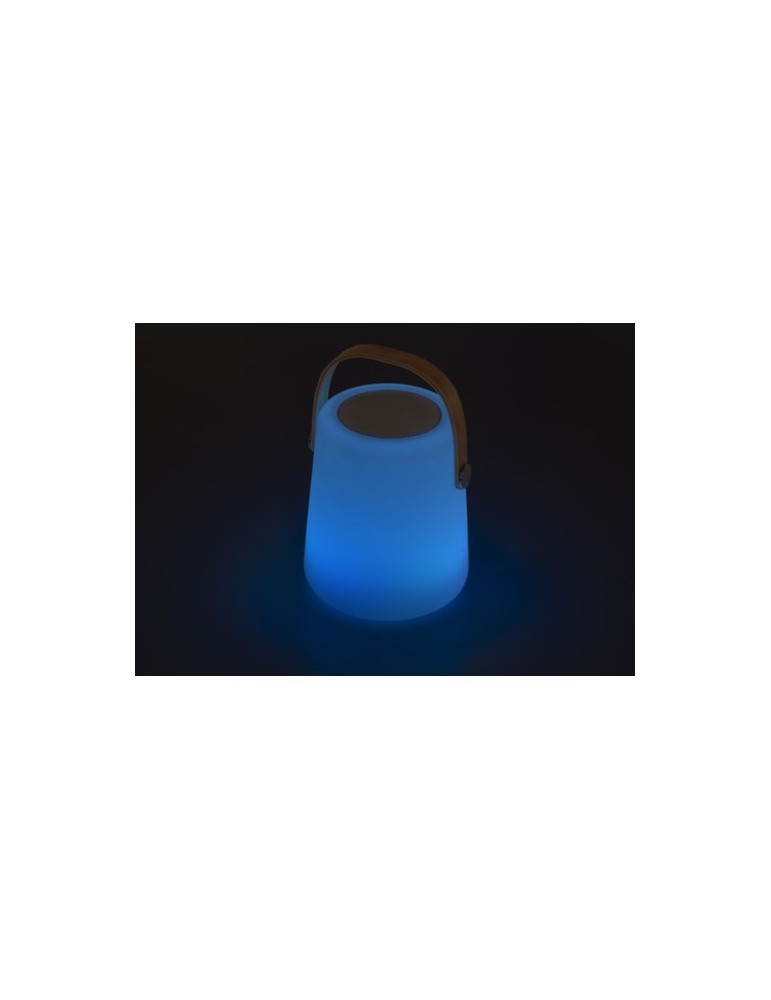 Enceinte double sans fil lumineuse
