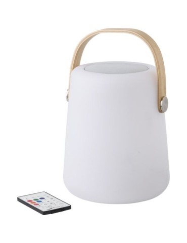 Enceinte double sans fil lumineuse
